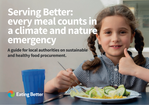 Serving Better: A guide for local authorities