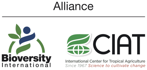 Alliance of Bioversity International & CIAT