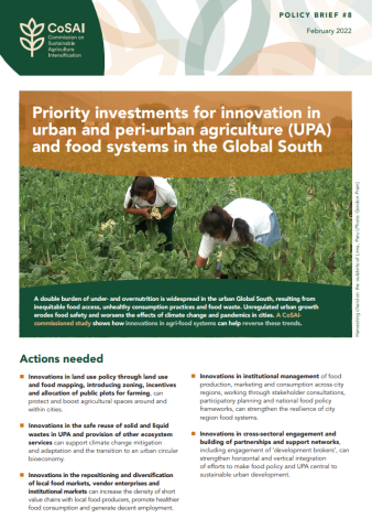 Potential of urban and periurban agriculture in the Global South