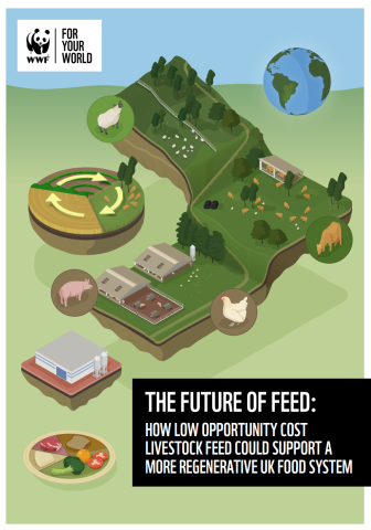 Low opportunity cost feed for a resilient UK food system
