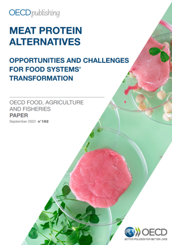 Meat protein alternatives: Opportunities and challenges