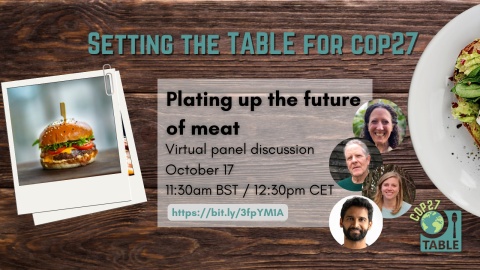 Plating up the future of meat
