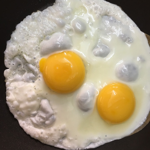 Fried egg. Image credits: rishigarfield, Pixabay, Pixabay Licence.