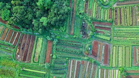 Aerial view of patchwork of small fields, Indonesia. Photo by Tom Fisk via Pexels.