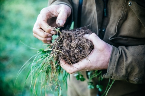 What is regenerative agriculture?