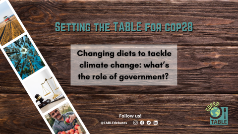 A flyer advertising the "Setting the Table for COP28” series and the event “Changing diets to tackle climate change: what’s the role of government?” There is a photo strip of agricultural landscapes laying on a wooden table and the TABLE logo in the corner.