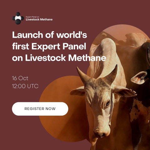 Flyer for launch of expert panel on livestock methane on 16 Oct 2023