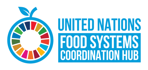 United Nations Food System Coordination Hub Logo