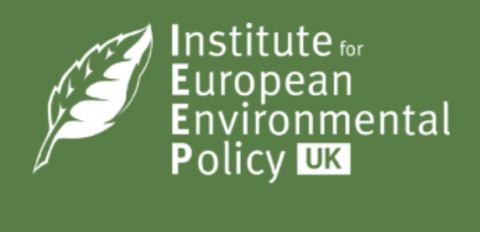 IEEP logo