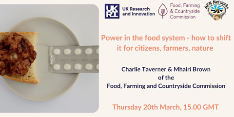 Webinar poster for the Power in the food system - how to shift it for citizens, farmers & nature