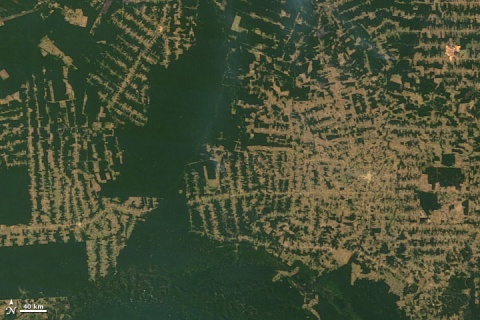 Image: NASA, Deforestation in the state of Rondônia in western Brazil, Wikimedia Commons, Public domain