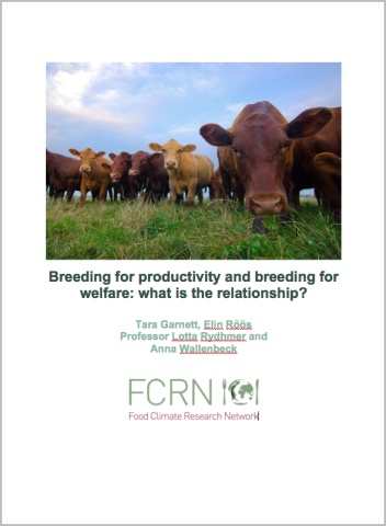 Breeding for productivity and breeding for welfare: what is the ...