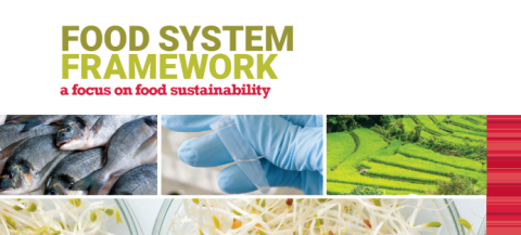 IFST Sustainable Food System framework published | TABLE Debates