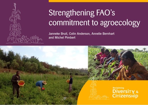 Strengthening FAO’s commitment to agroecology | TABLE Debates