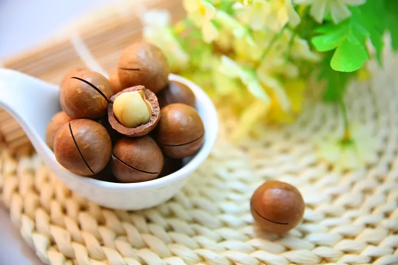 Image: sunnysun0804, Macadamia nuts food, Pixabay, Pixabay Licence