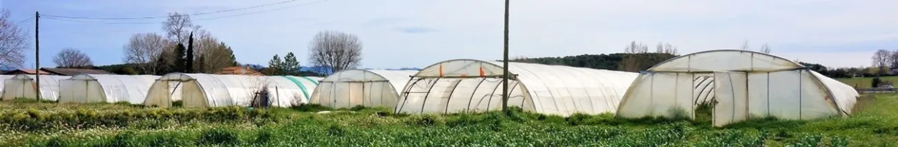 Image: Medium-sized market garden growing 5 ha for the local market, in Bouches-du-Rhône.