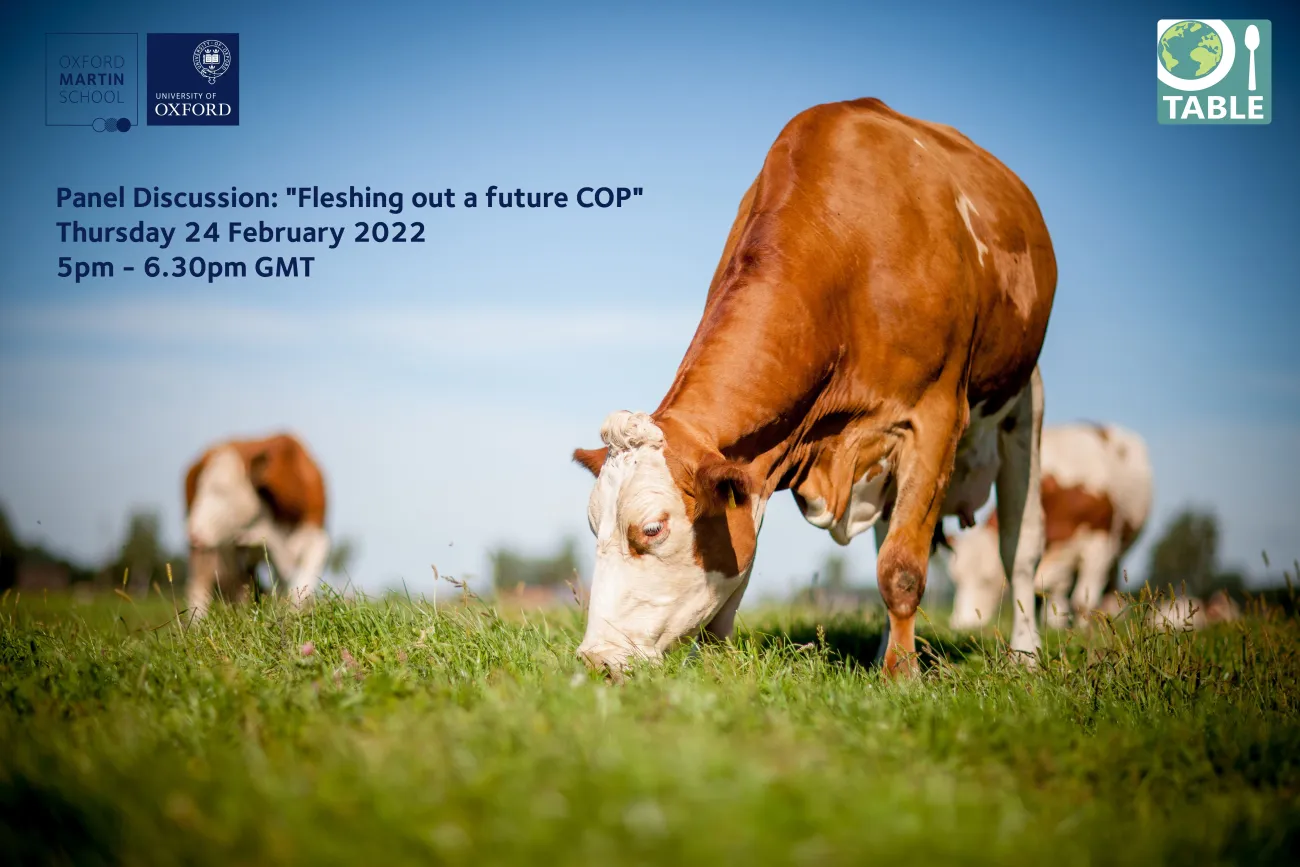 Fleshing out a future COP event advert