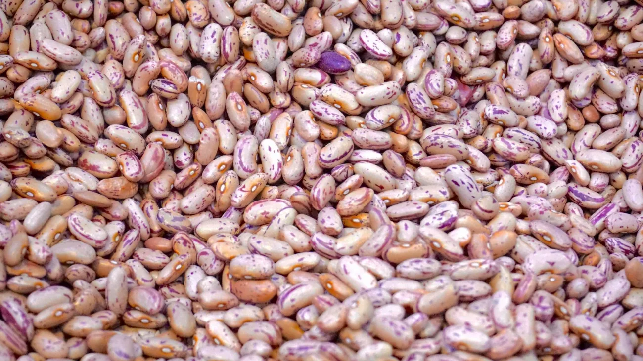 Image of beige and pink beans courtesy of Digital Buggu via Pexels