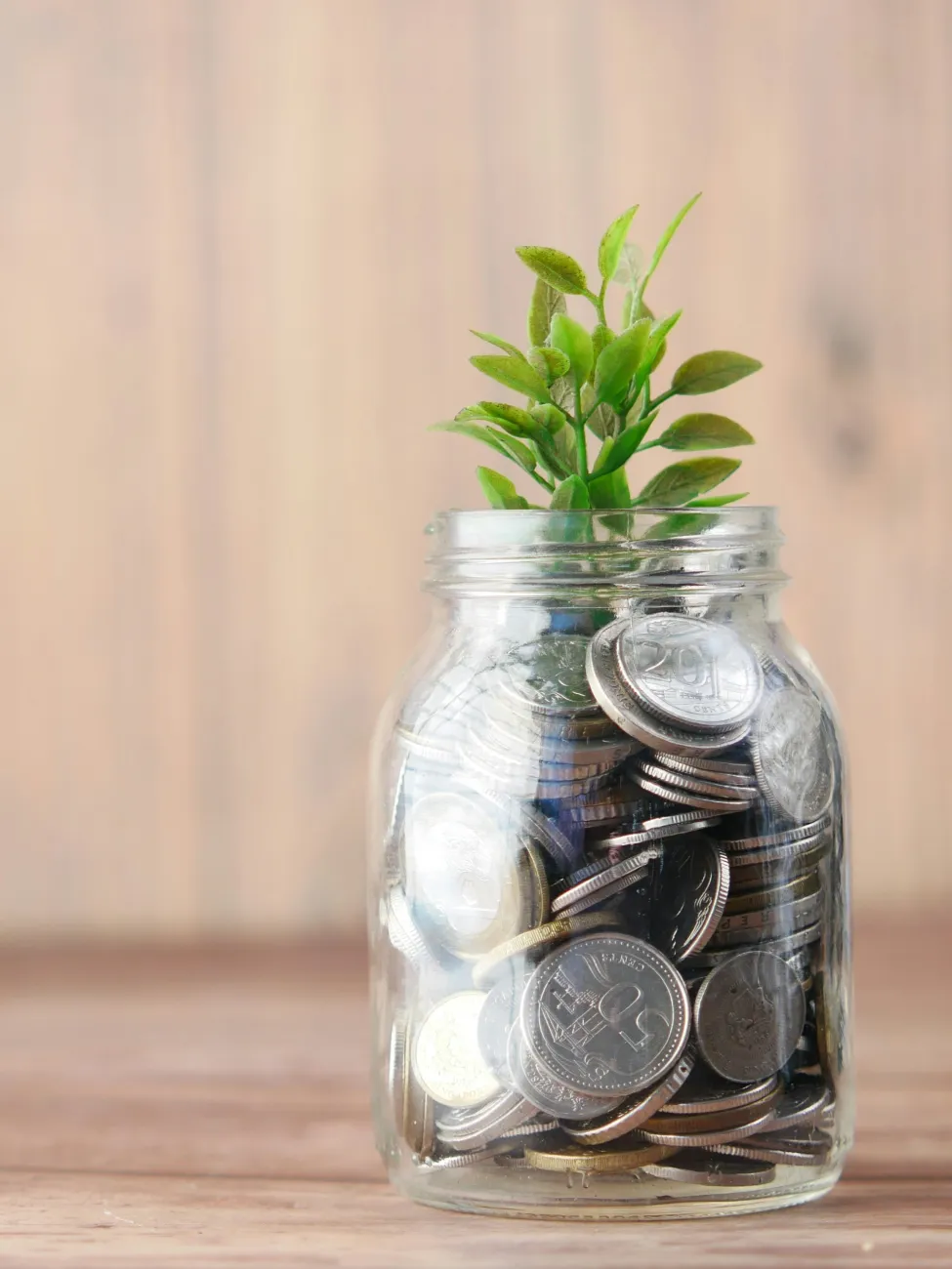 Image: A glass filled with silver coins and a plant on top. Image by Towfiqu bharbuiya via unsplash