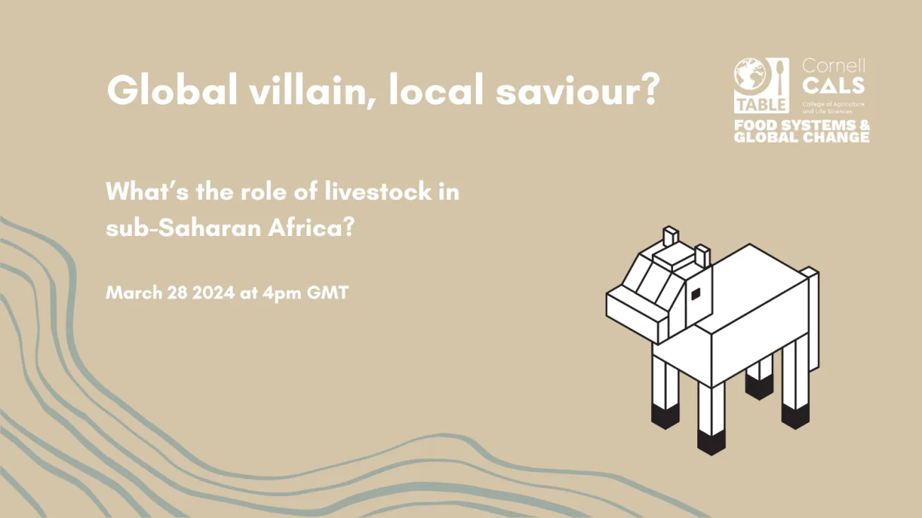 A flyer for the event “Global villain, local saviour? What’s the role of livestock in sub-Saharan Africa?” on March 28 at 4pm GMT and co-hosted by Cornell Food Systems & Global Change and TABLE. The image is a beige background with grey waveforms on the bottom and a cubic animation of a cow.