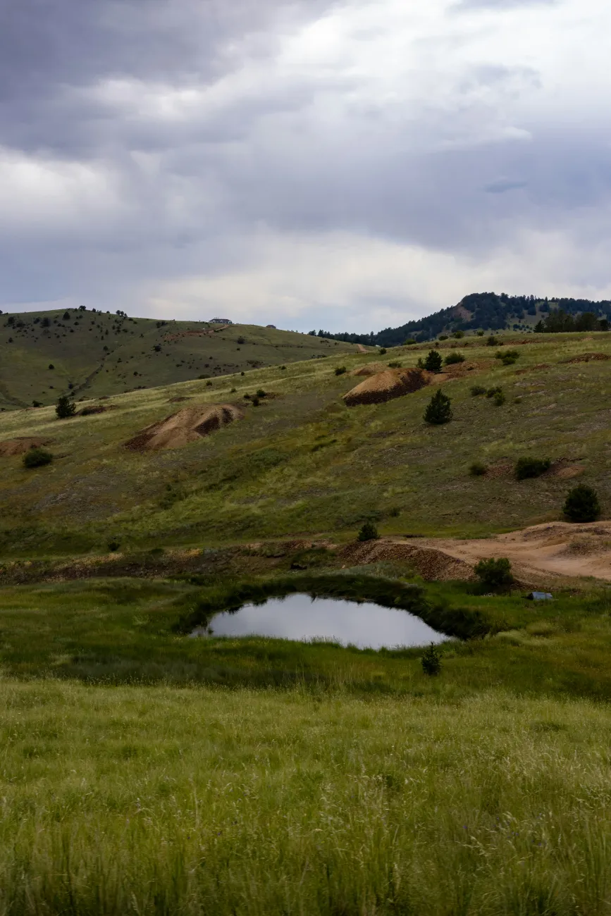 Grasslands on rolling hills. Photo by Luis Olmos via Unsplash.