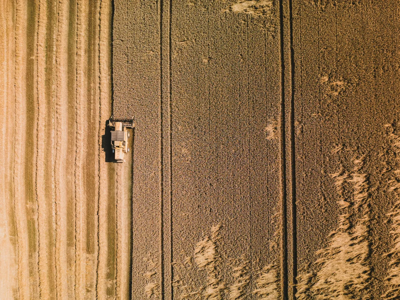 Aerial shot of field with combine harvester. Credit: Timon Reinhard via pexels