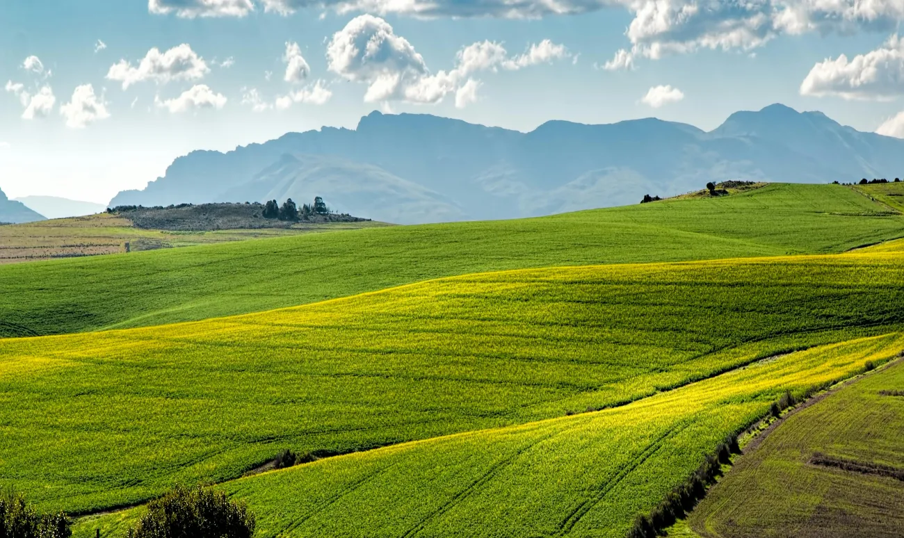 Rolling hills of fields. Credit: Pixabay