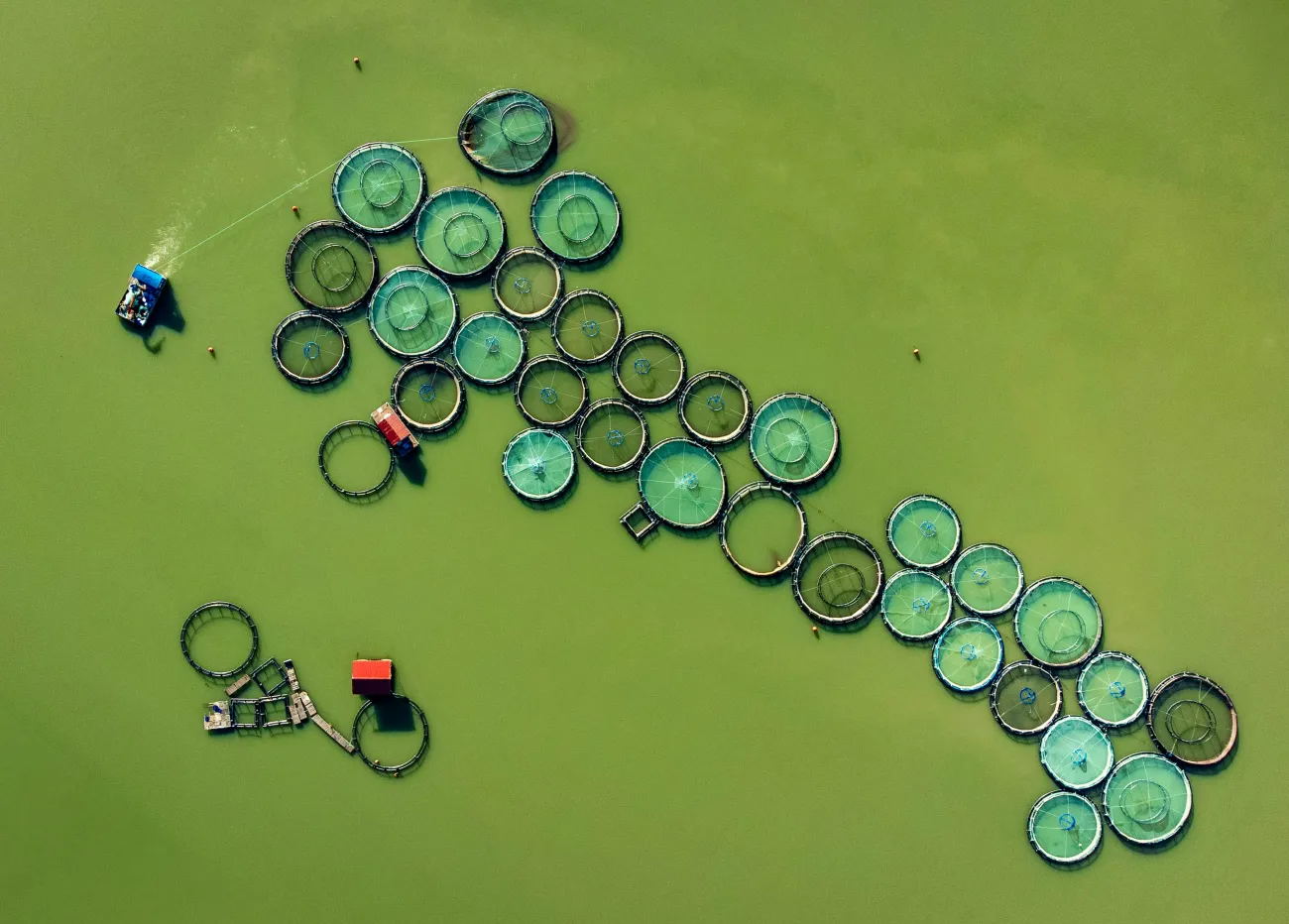 Aerial view of fish farms. Credit: Esra Burcun via Pexels.