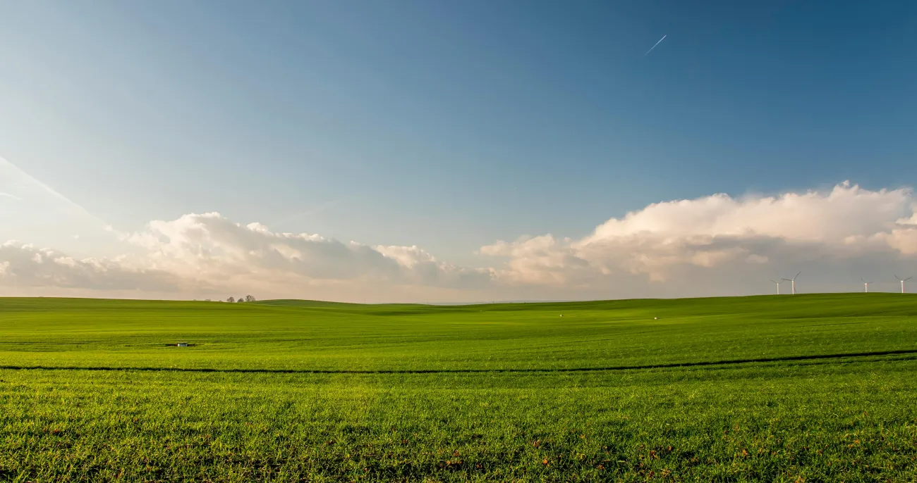 Photo of a field of grass. Credit: Jahoo Clouseau via Pexels.
