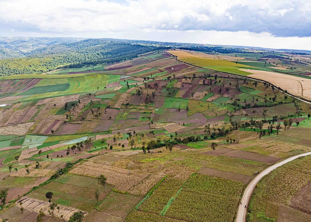 African farming landscape. Credit Vince pictures via Pexels