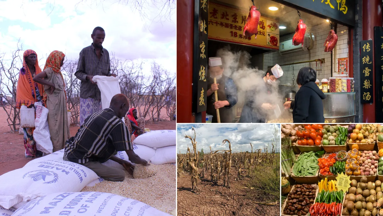 Image montage (clockwise from left): DFAT, A_Peach, Jon Aslund and USDA via Flickr Image montage (clockwise from left): DFAT, A_Peach, Jon Aslund and USDA via Flickr