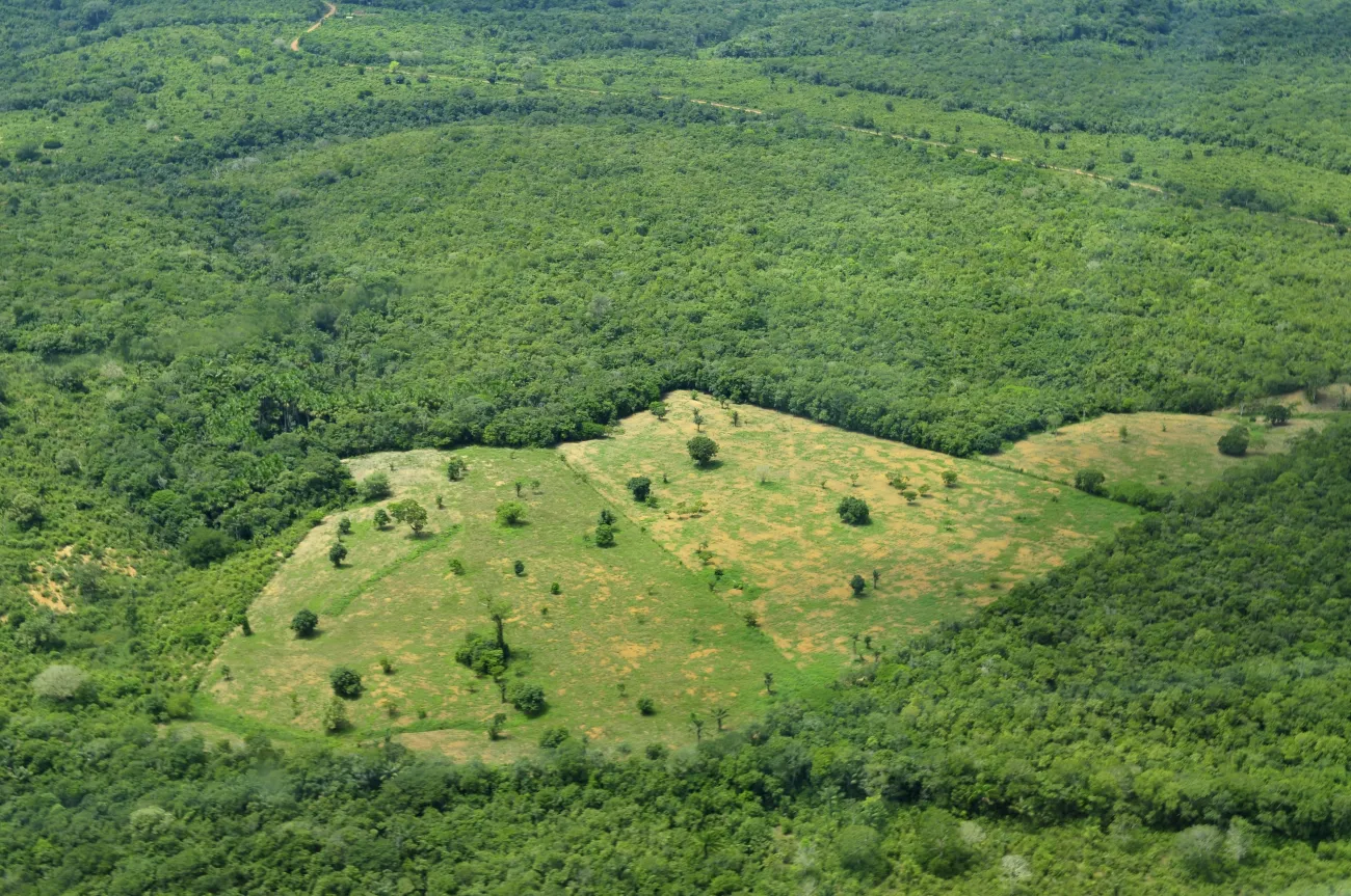 Amazon land use by CIAT via Flickr Amazon land use by CIAT via Flickr