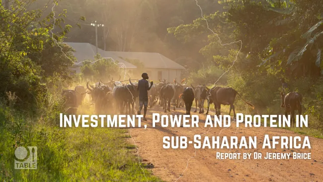 Investment power and protein report cover image - herding cattle
