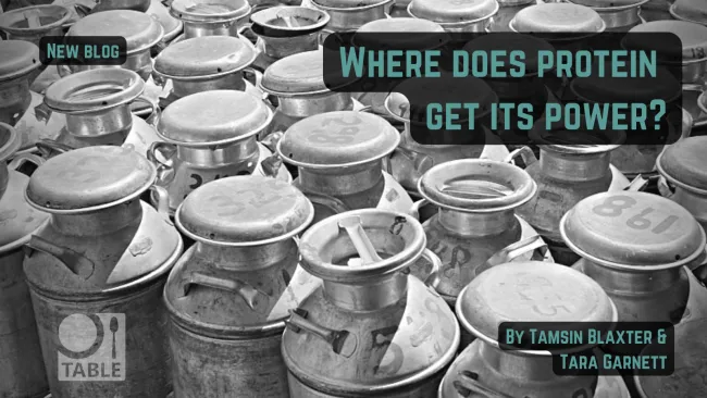where does protein get its power?