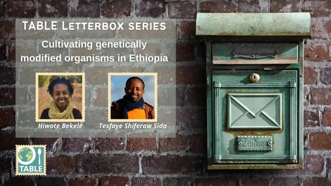 Series 1: Cultivating genetically modified organisms in Ethiopia with Hiwote Bekele and Tesfaye Shiferaw Sida (PhD)
