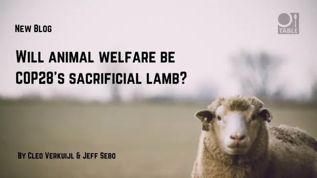 A flyer advertising the blog "Will animal welfare be COP28’s sacrificial lamb?" by Cleo Verkuijl & Jeff Sebo. The TABLE logo is in the corner and the background is a sheep staring into the camera with a blurry landscape behind by Dan Hamill via Pexels.