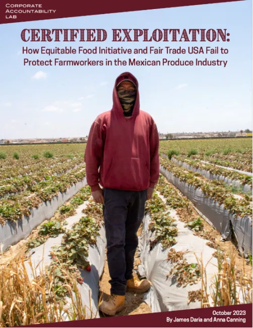 Front cover of report titled: Certified Exploitation: How Equitable Food Initiative and Fair Trade USA fail to protect farmworkers in the Mexican Produce industry. Image contains a man in a red hoodie standing in a strawberry field.