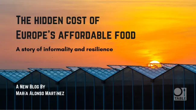 image of greenhouses in sunset, with text 'the hidden cost of Europe's affordable food'
