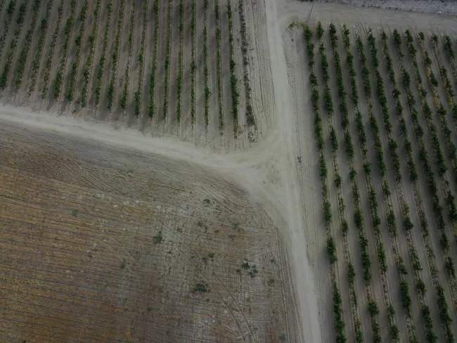 An aerial image of a farm in Baja California, Mexico. Photo by David Kovalenko via Unsplash.