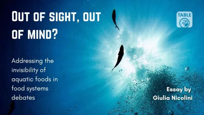 A flyer for the TABLE essay "Out of sight, out of mind? Addressing the invisibility of aquatic foods in food systems debates" by Giulia Nicolini. The background is a photo of looking up underwater at the sun with two fish in silhouette.