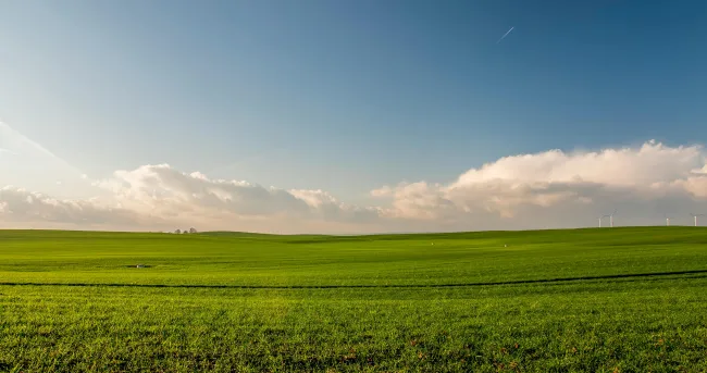 Photo of a field of grass. Credit: Jahoo Clouseau via Pexels.