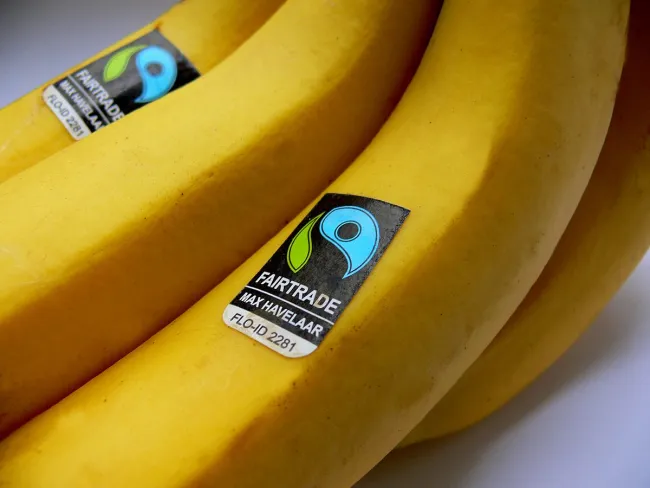Image: Maxhavel, Max Havelaar Bananen, Wikimedia Commons, Public domain Image: Maxhavel, Max Havelaar Bananen, Wikimedia Commons, Public domain
