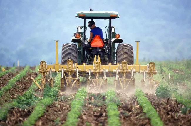 Image: PublicDomainImages, Soil tilling farmer, Pixabay, Pixabay Licence Image: PublicDomainImages, Soil tilling farmer, Pixabay, Pixabay Licence