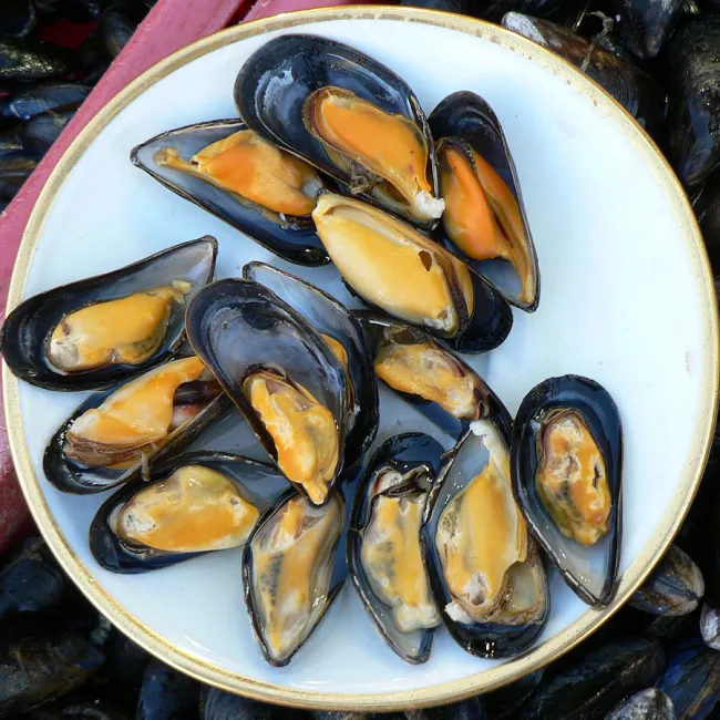 Image: Claude Covo-Farchi, Mussels at Trouville fish market, Wikimedia Commons, Creative Commons Attribution-Share Alike 2.0 Generic Image: Claude Covo-Farchi, Mussels at Trouville fish market, Wikimedia Commons, Creative Commons Attribution-Share Alike 2.0 Generic
