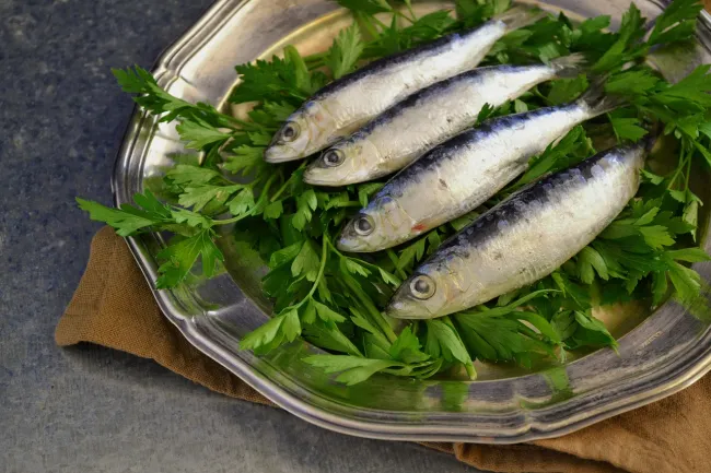 Image: DanaTentis, Sardine Pesce Fresco, Pixabay, Pixabay License Image: DanaTentis, Sardine Pesce Fresco, Pixabay, Pixabay License