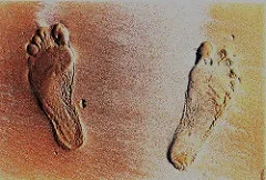 Photo: Pejman Parvandi, Footprint, Flickr, Creative Commons License 2.0 Photo: Pejman Parvandi, Footprint, Flickr, Creative Commons License 2.0