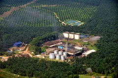 Photo: Marufish, palm oil mill, Flickr, Creative Commons licence 2.0 Photo: Marufish, palm oil mill, Flickr, Creative Commons licence 2.0