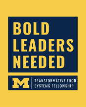 Transformative Food Systems Fellowship