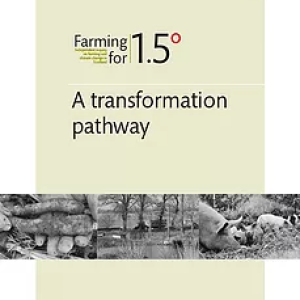 Cover: A transformation pathway