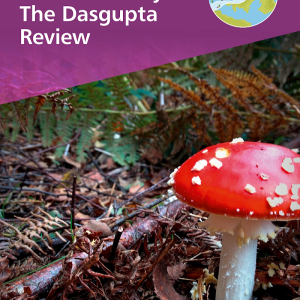 The Economics of Biodiversity: The Dasgupta Review